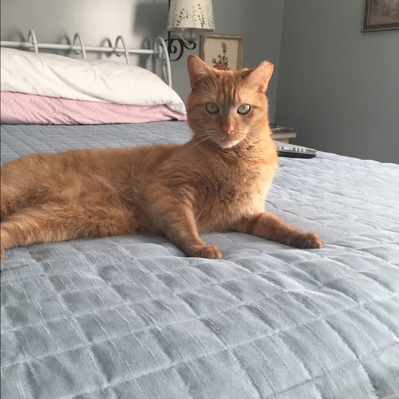 Meet your Posher, Kayla - Picture 2 of 2